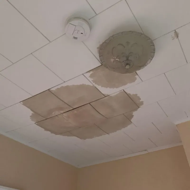 Ceiling Water Damage Repair in De Lisle, MS