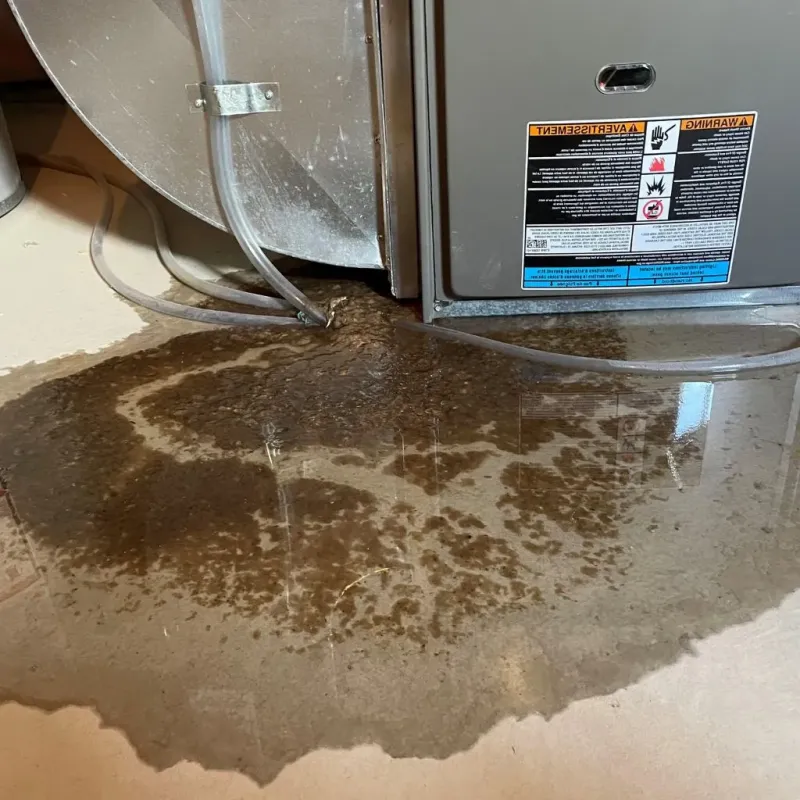 Pipe Burst and Leak Restoration in De Lisle, MS