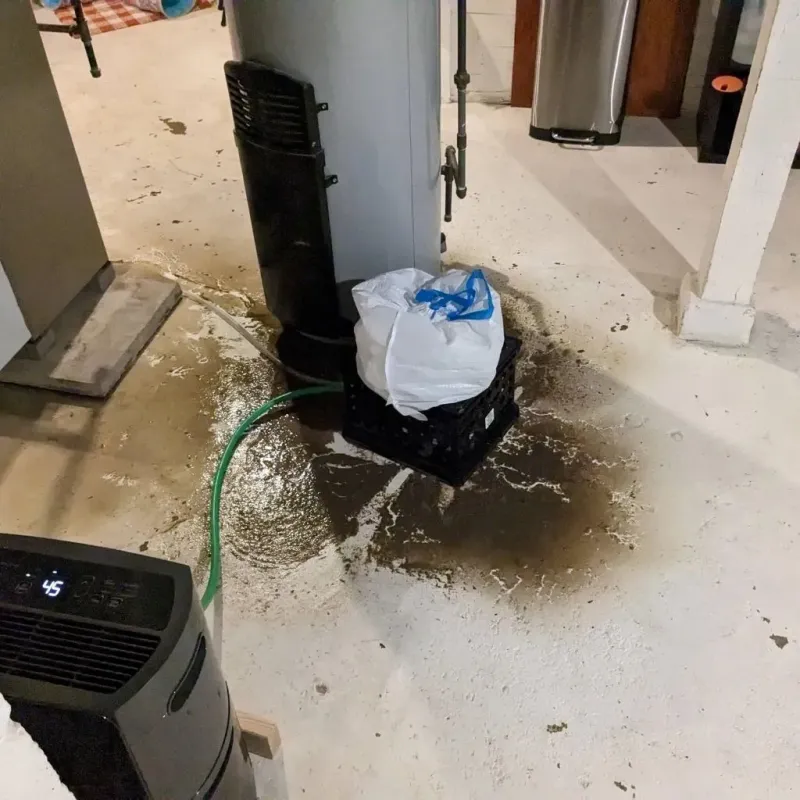 Sewage Backup Cleanup Service in De Lisle, MS
